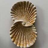 Ceramic shell-shaped trinket tray