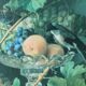Still life, oil on framed canvas.