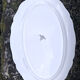 French Sanguimines Porcelain Serving Platters (Set of 2)