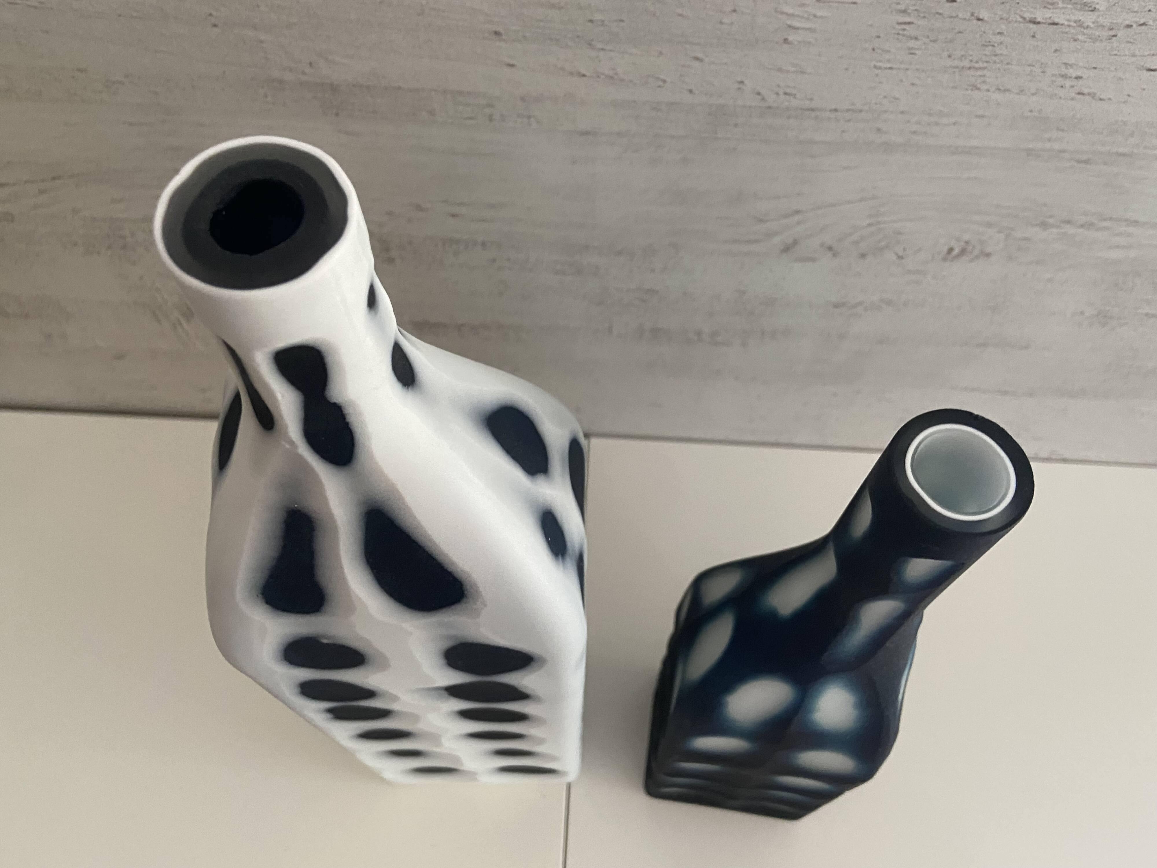 Contemporain Duo de Vases Bouteilles Soliflores KARE Design Verre Céramique