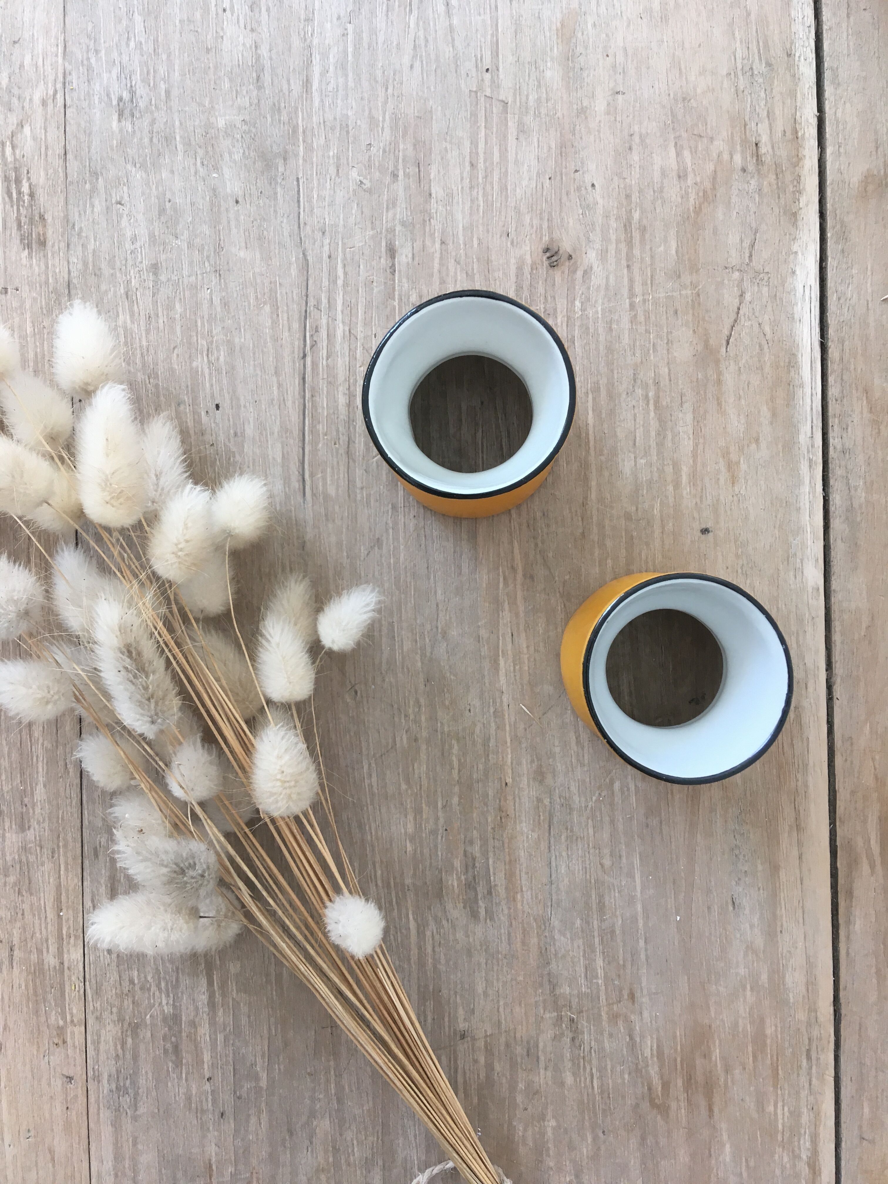 Pair of diabolo cockroaches