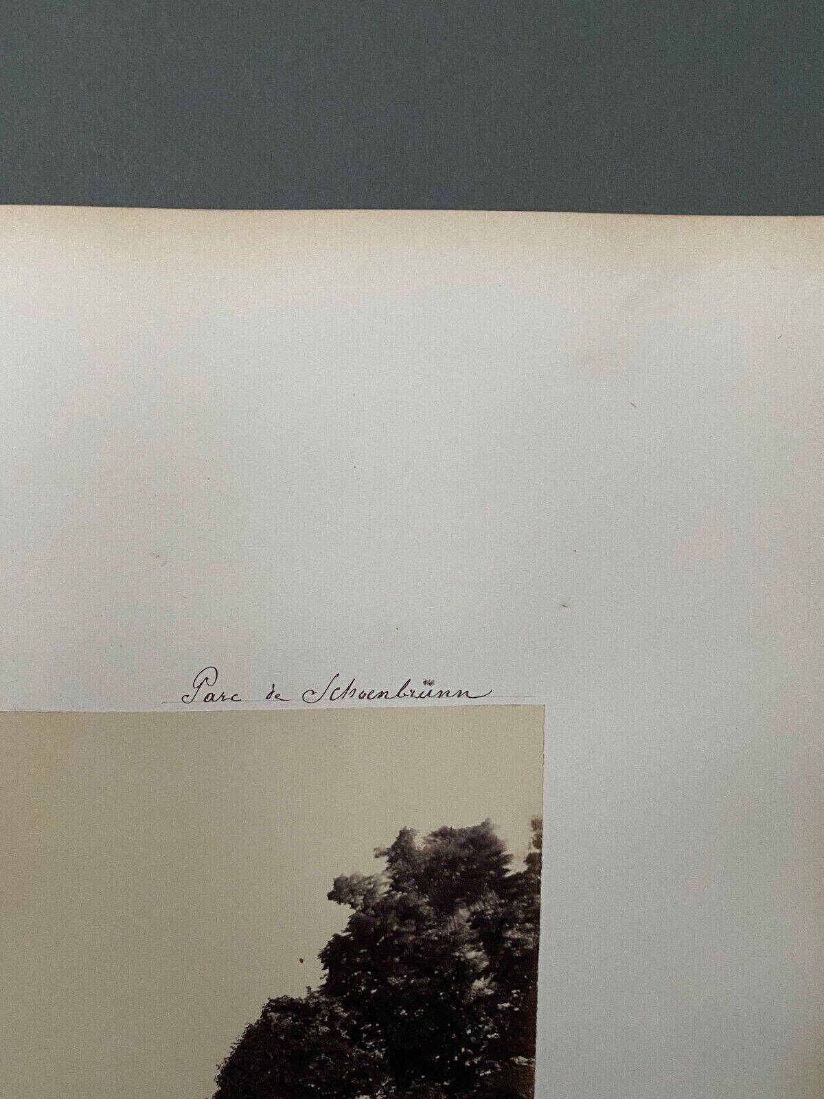 Photo Parc de Schoenbrunn 19th century albumen laminated cardboard