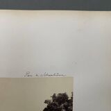 Photo Parc de Schoenbrunn 19th century albumen laminated cardboard