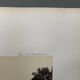 Photo Parc de Schoenbrunn 19th century albumen laminated cardboard