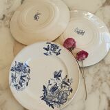 Assiettes terre de fer