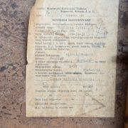 Pair of vintage armchairs in oak and embossed fabric, with old republished certificate of authenticity