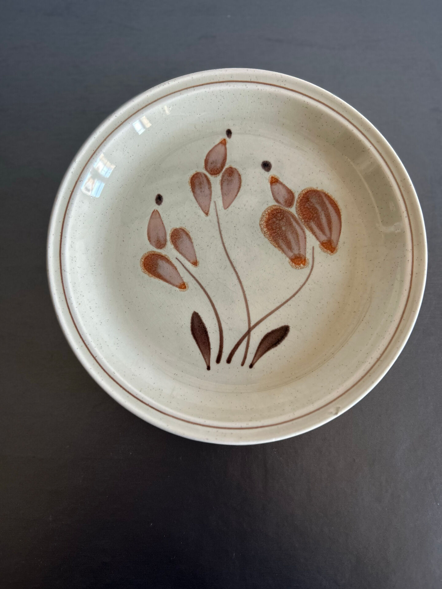 Assiettes en grès mat