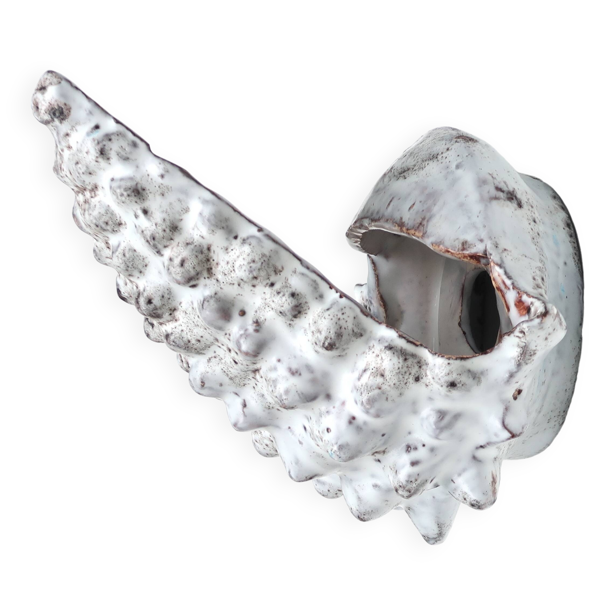 Grey ceramic shell wall lamp, Vallauris, 1960s