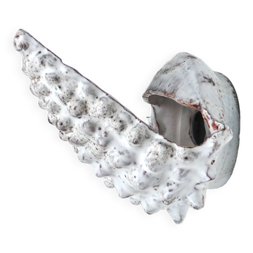 Grey ceramic shell-shaped wall light, Vallauris 1960s.