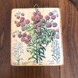 10 "herbarium" frames