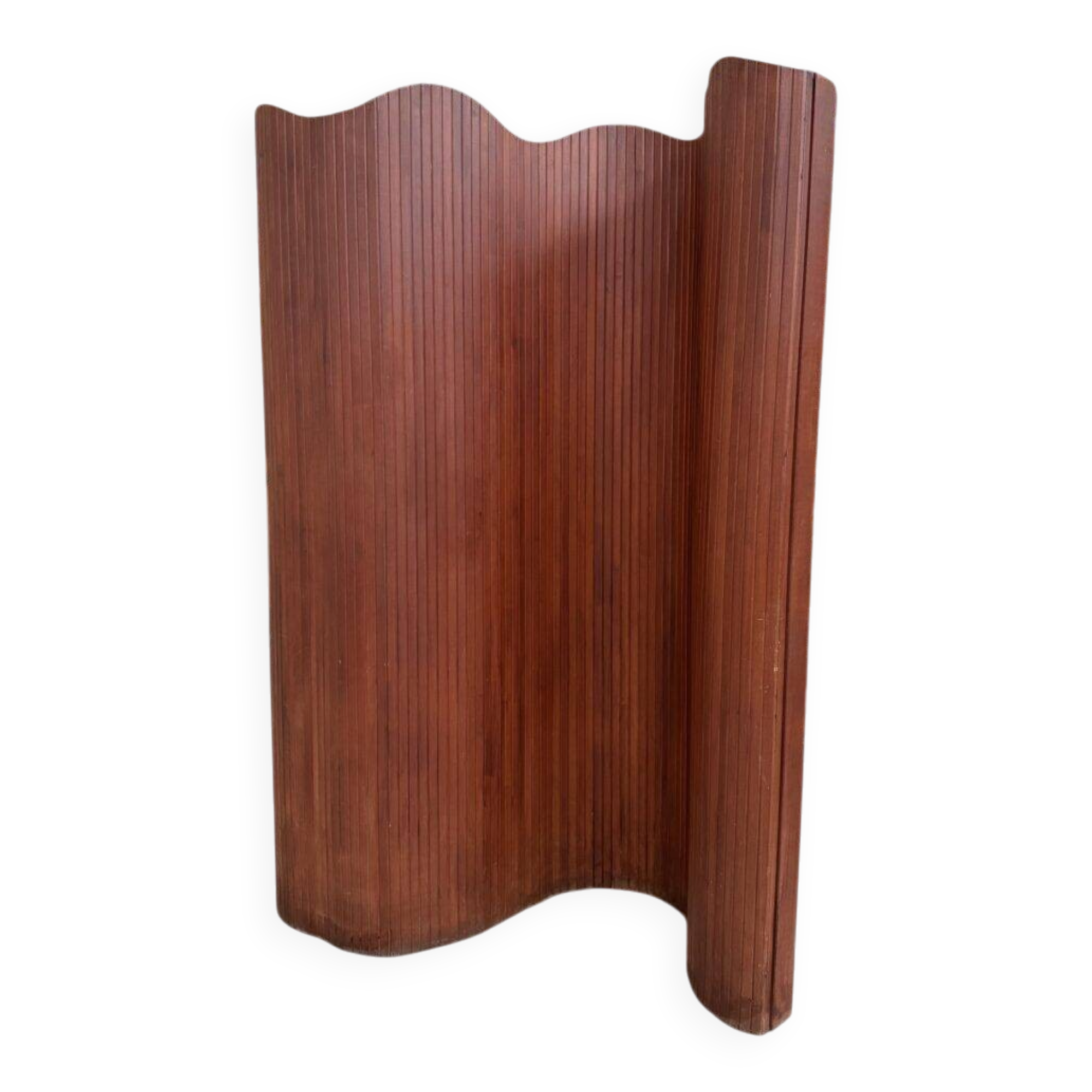 Screen Baumann