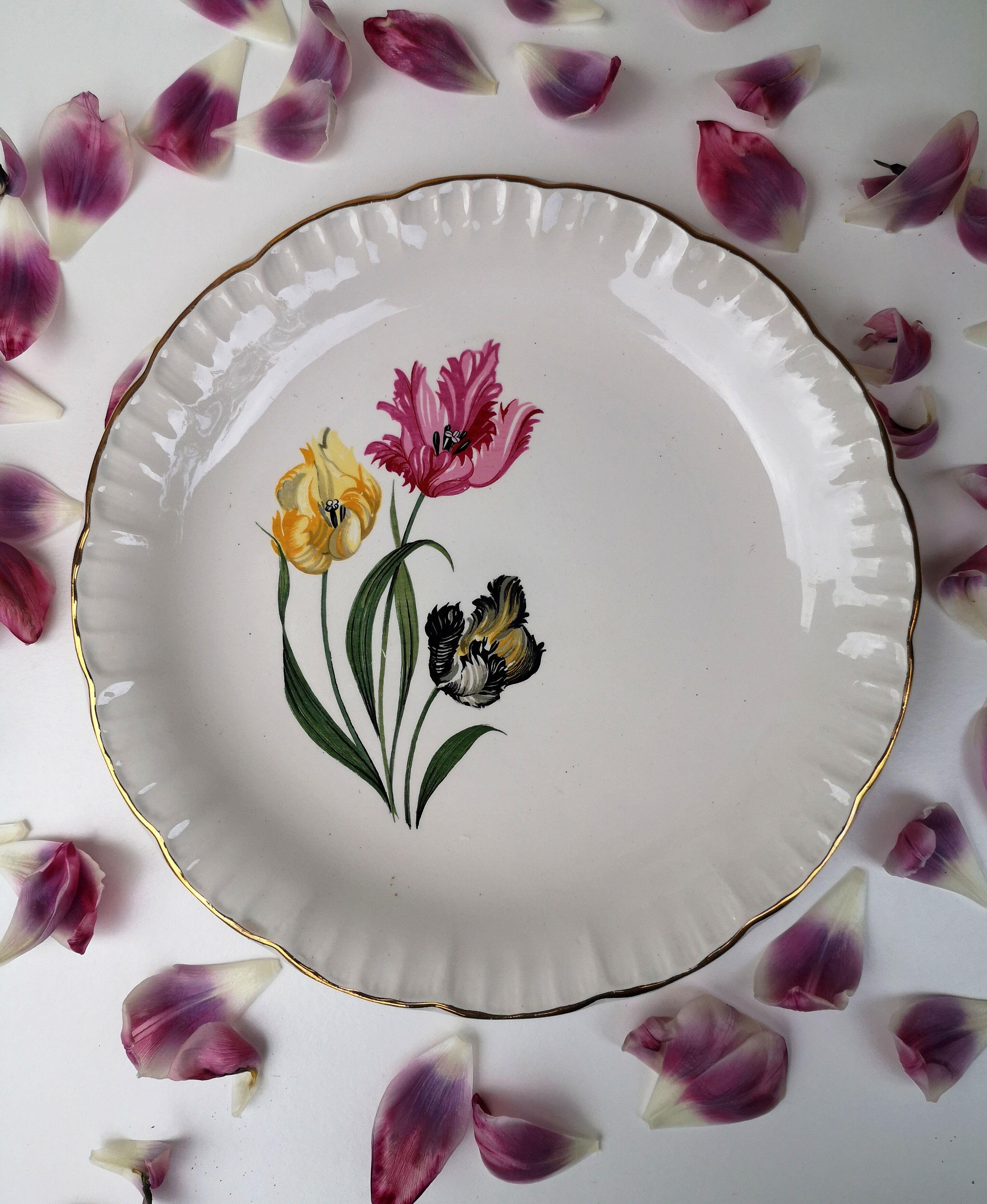 Lot 6 flat plates Digoin Sarreguemines