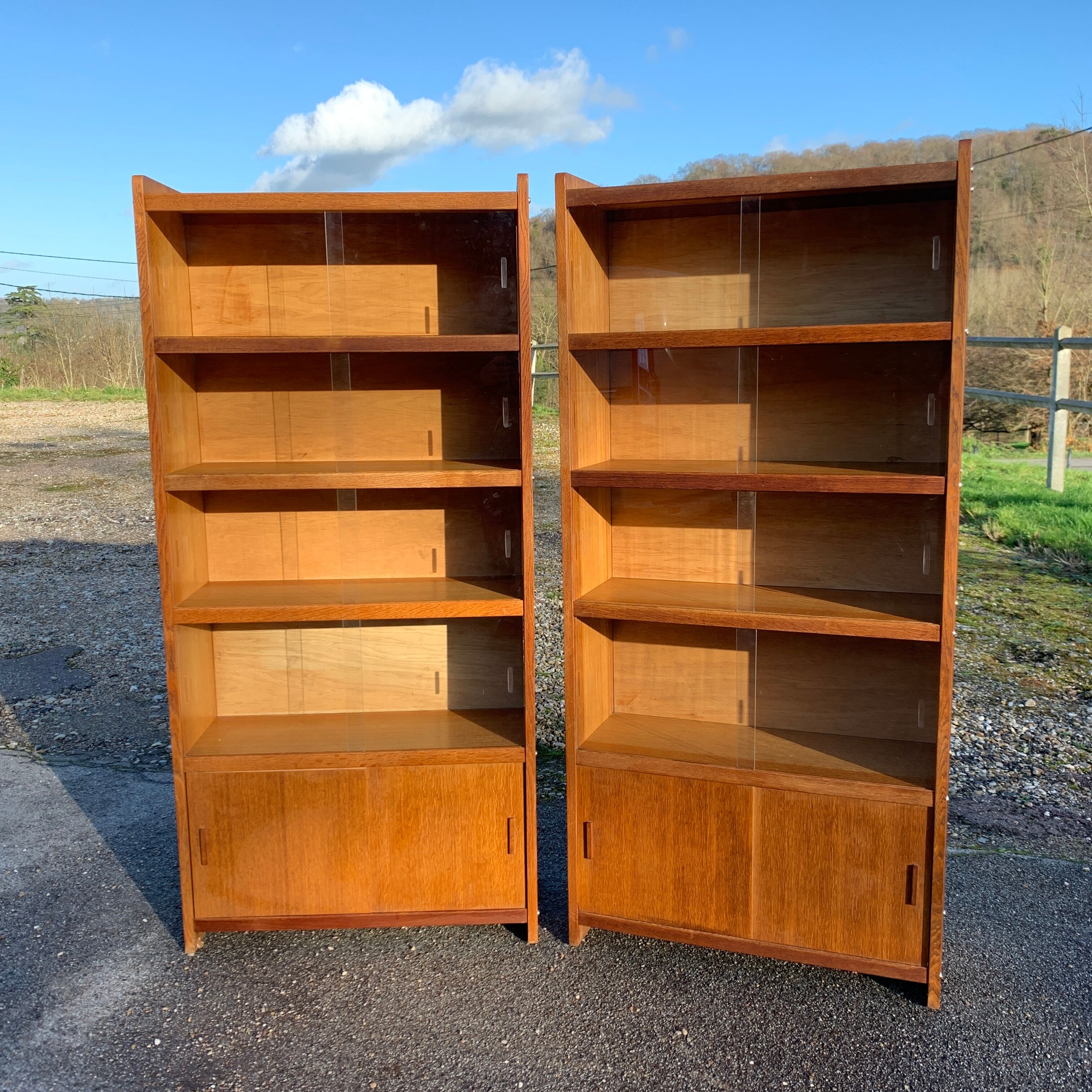 Pair of vintage glass shelves libraries