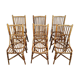 Series of 6 park chairs and rattan garden around 1940-1950