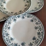5 flat plates in St Amand "Jane" iron clay