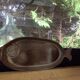 Fish dishes