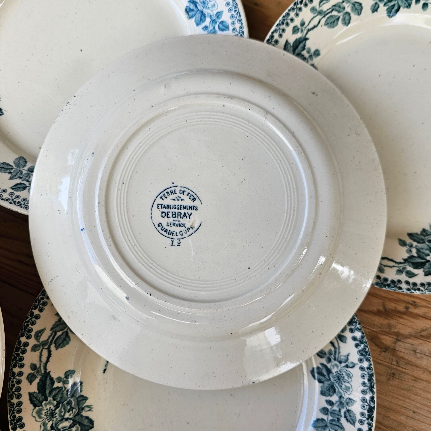 Flat plates Guadeloupe Terre de Fer