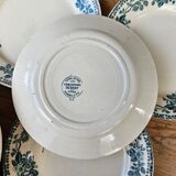 Flat plates Guadeloupe Terre de Fer