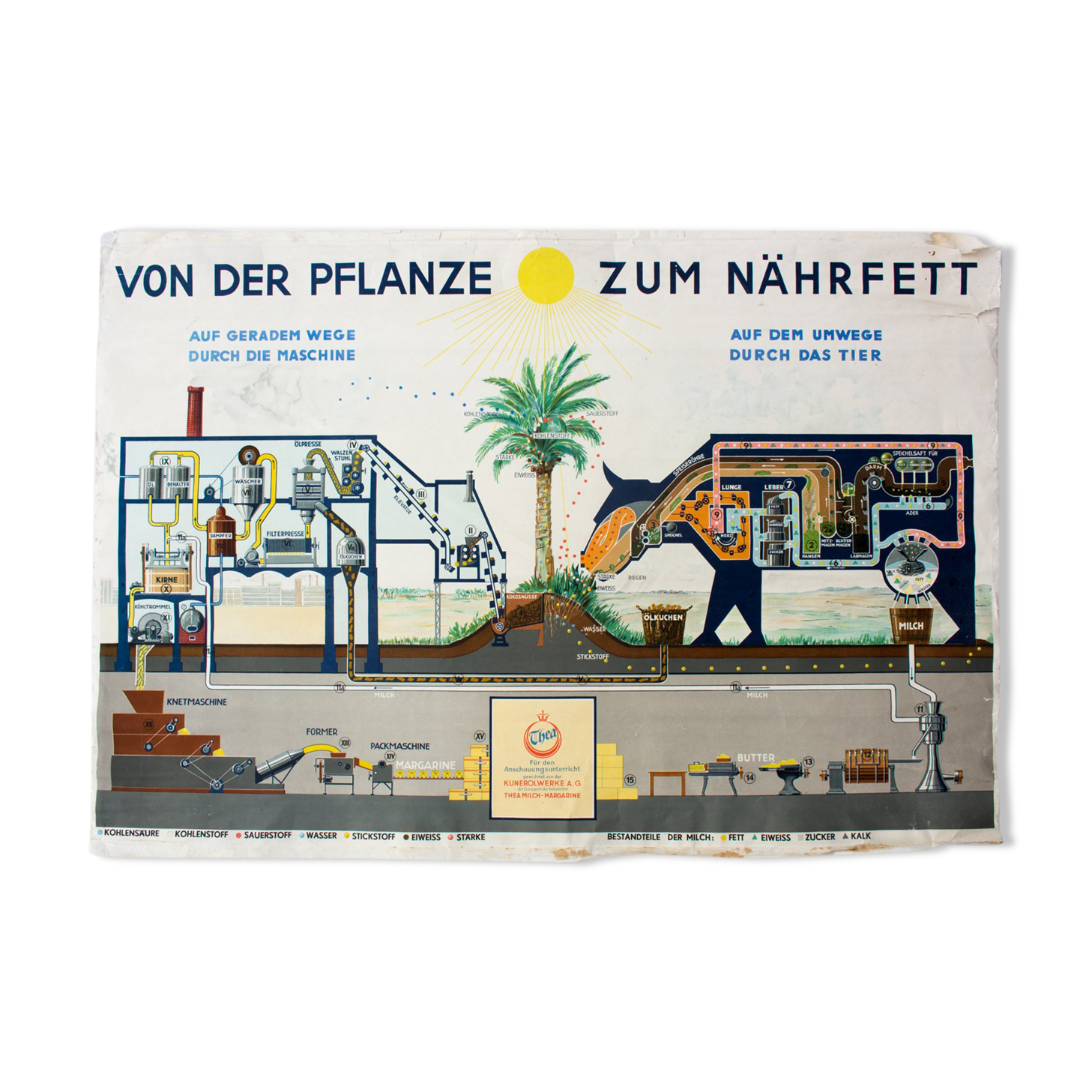 Educational poster from the 1956 factory