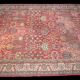 Carpet from Punjab in wool, 248x173cm