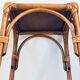 2-Level rattan harness