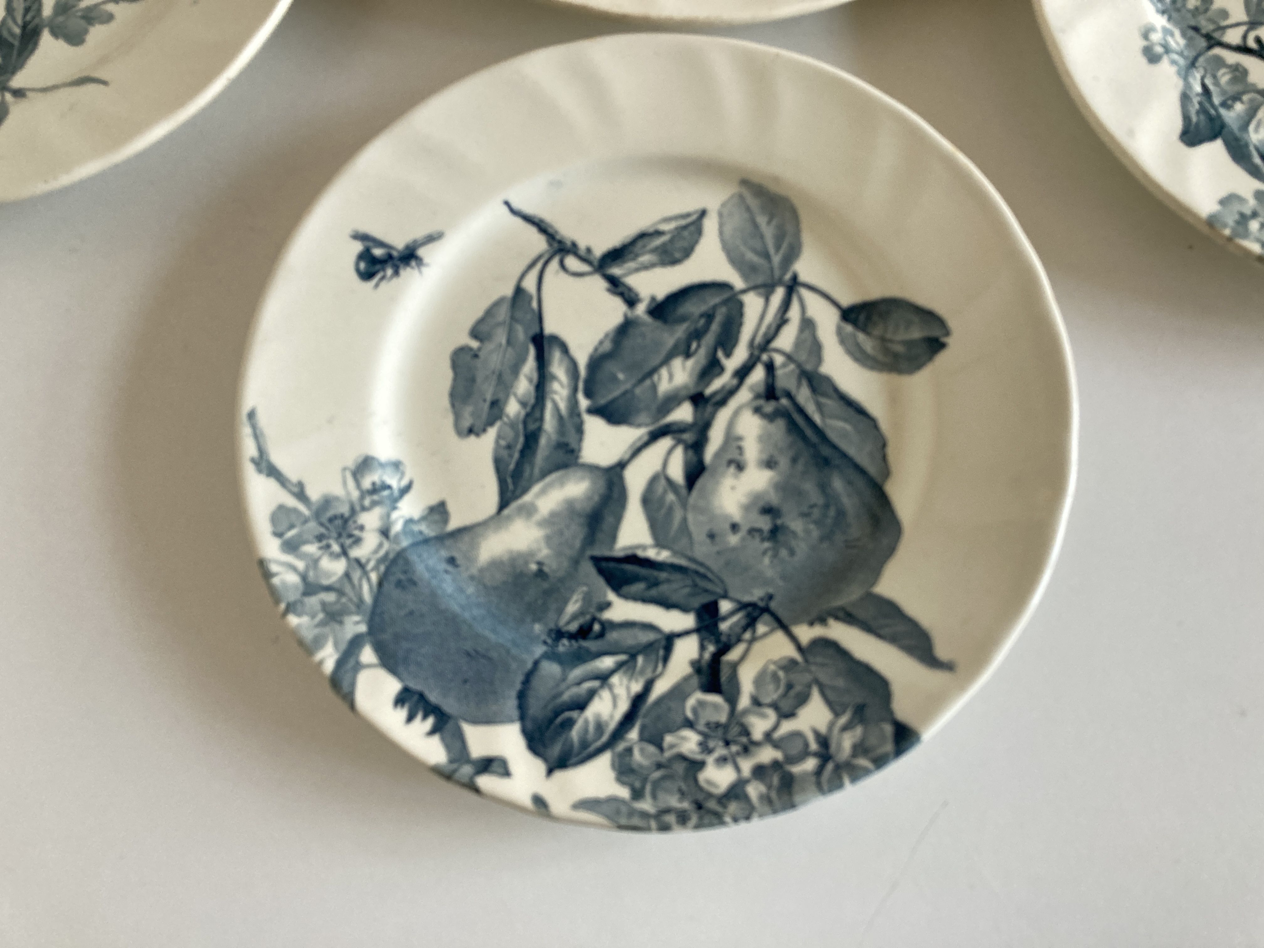 Set of 6 plates Creil Montereau Pomona iron earth early 20th