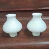 Globe / lampshade for chandelier