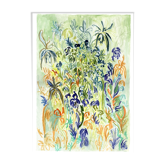 Dried flowers