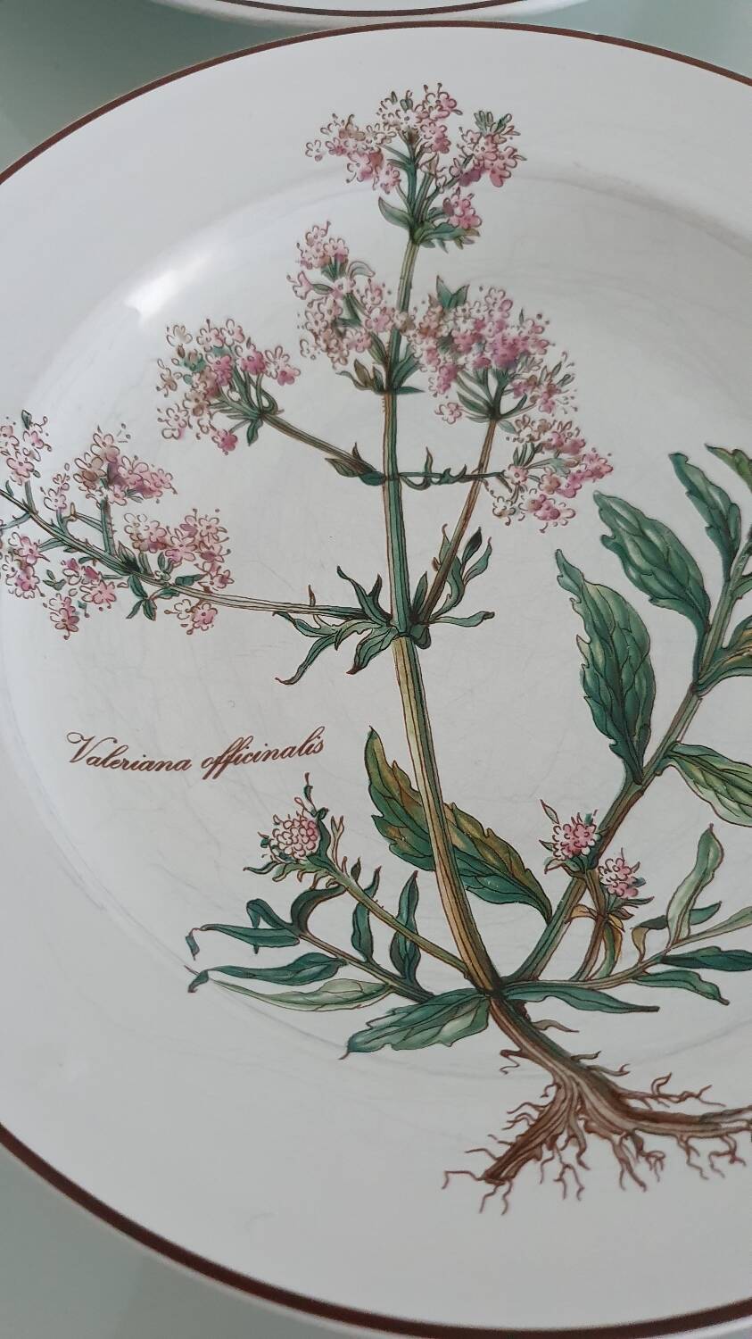 Set of 4 Villeroy and Boch plates, Botanica collection