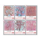 Damien Hirst - Cherry Blossoms