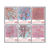 Damien Hirst - Cherry Blossoms