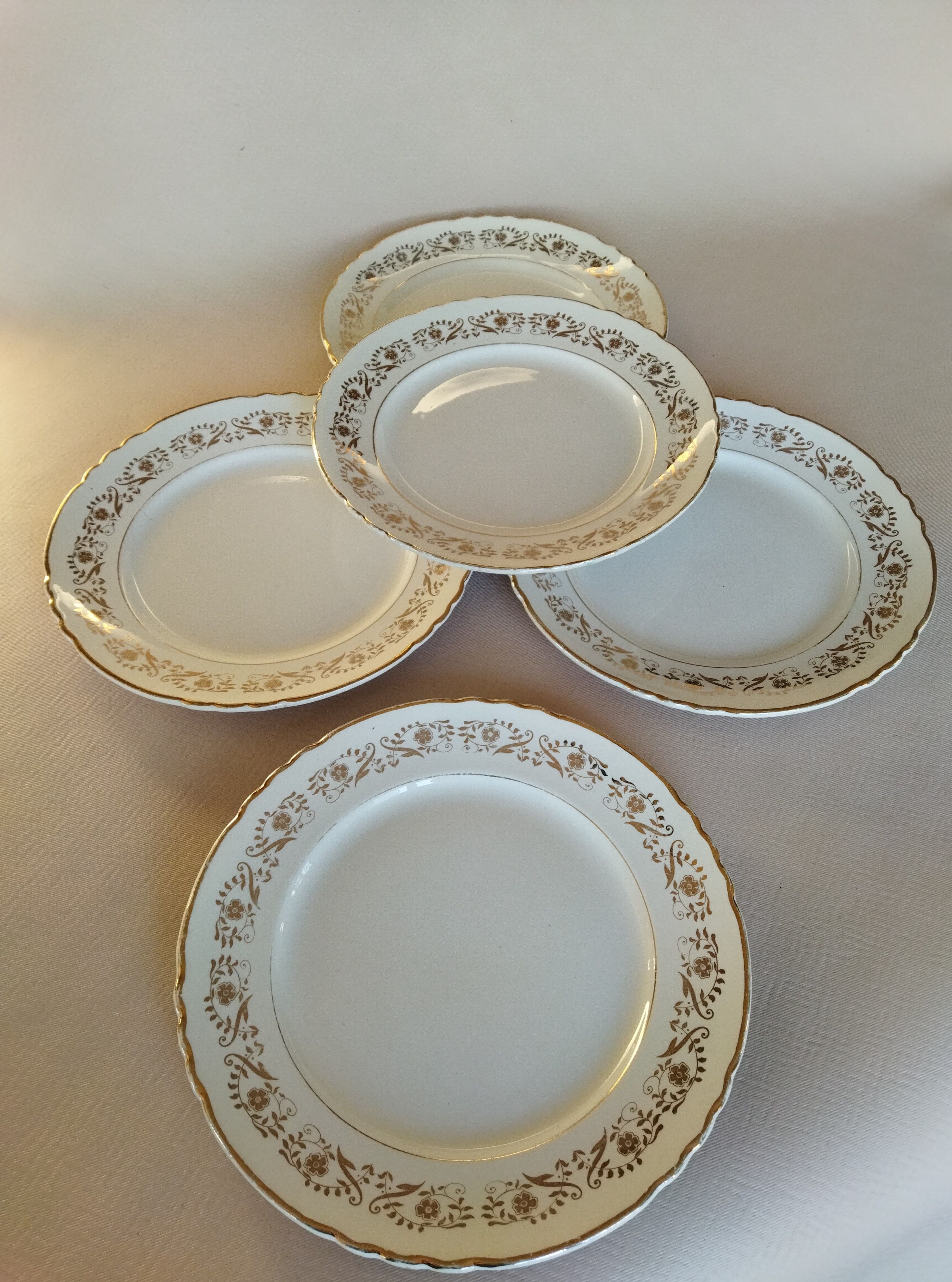 Flat plates Moulin des Loups