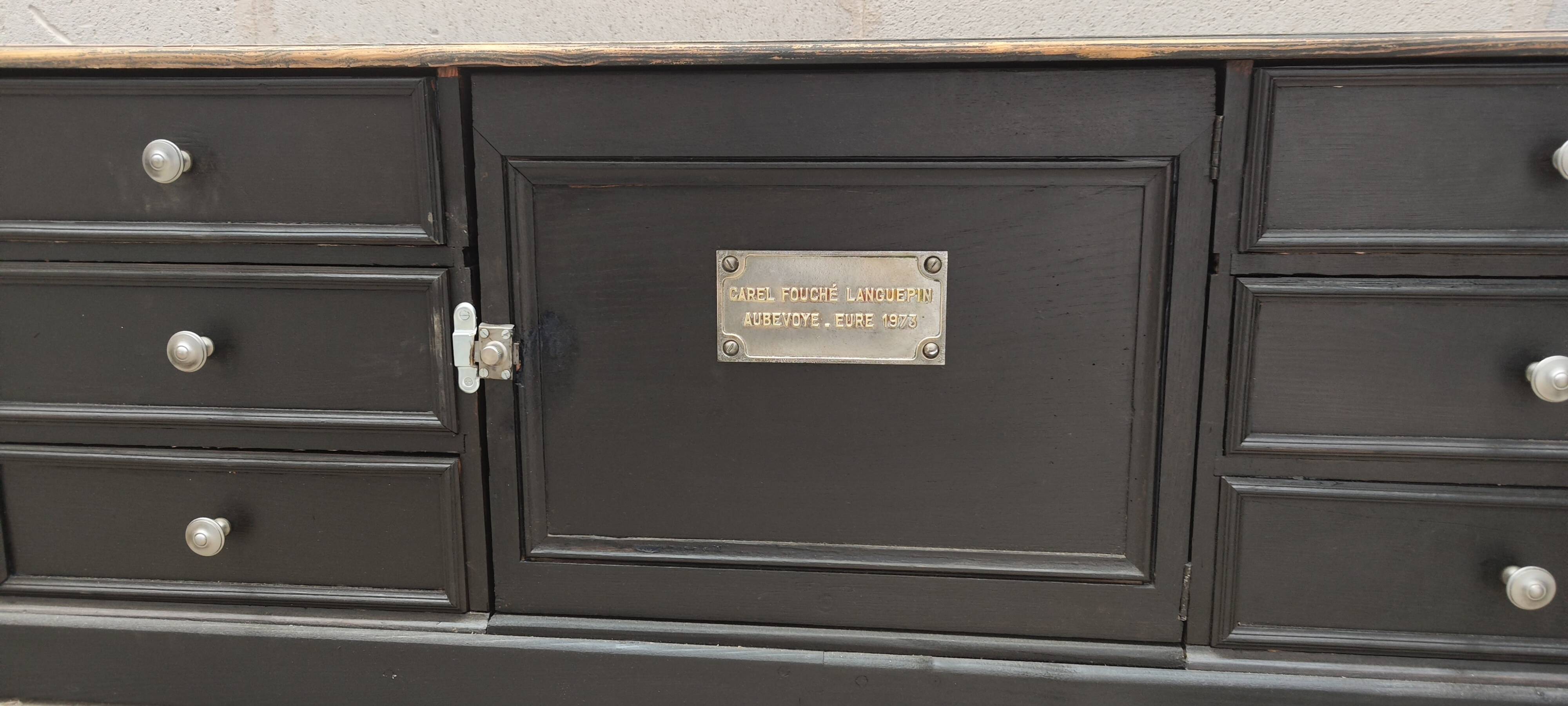 Low TV cabinet with black patina, twelve drawers and one door