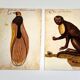 Impressions of the natural history of the Renaissance, pair of facsimiles of the Codex Pomar, 1990s.