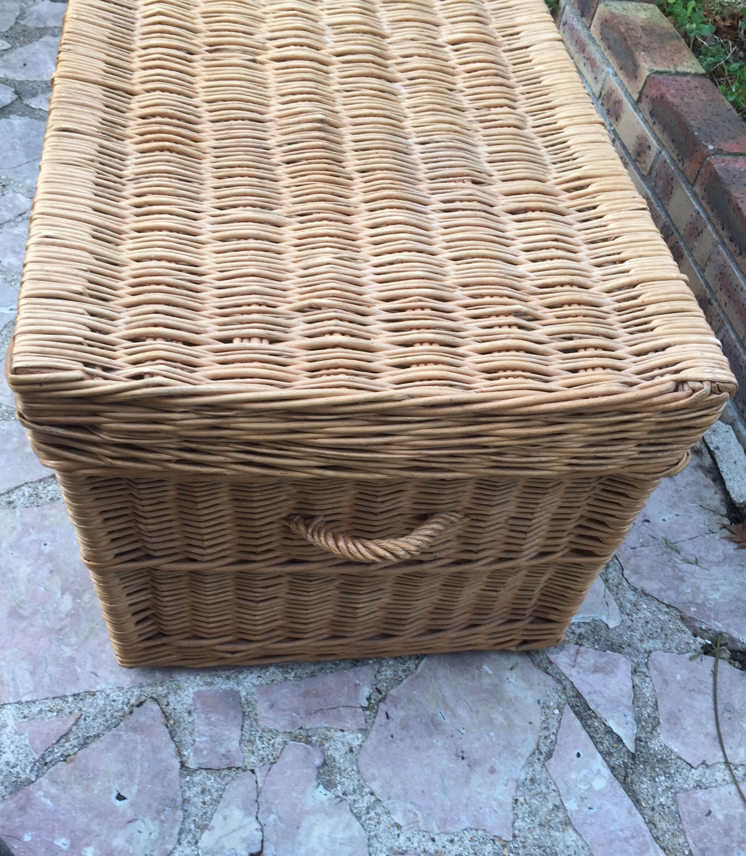 Wicker trunk
