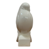 Pigeon Adnet
