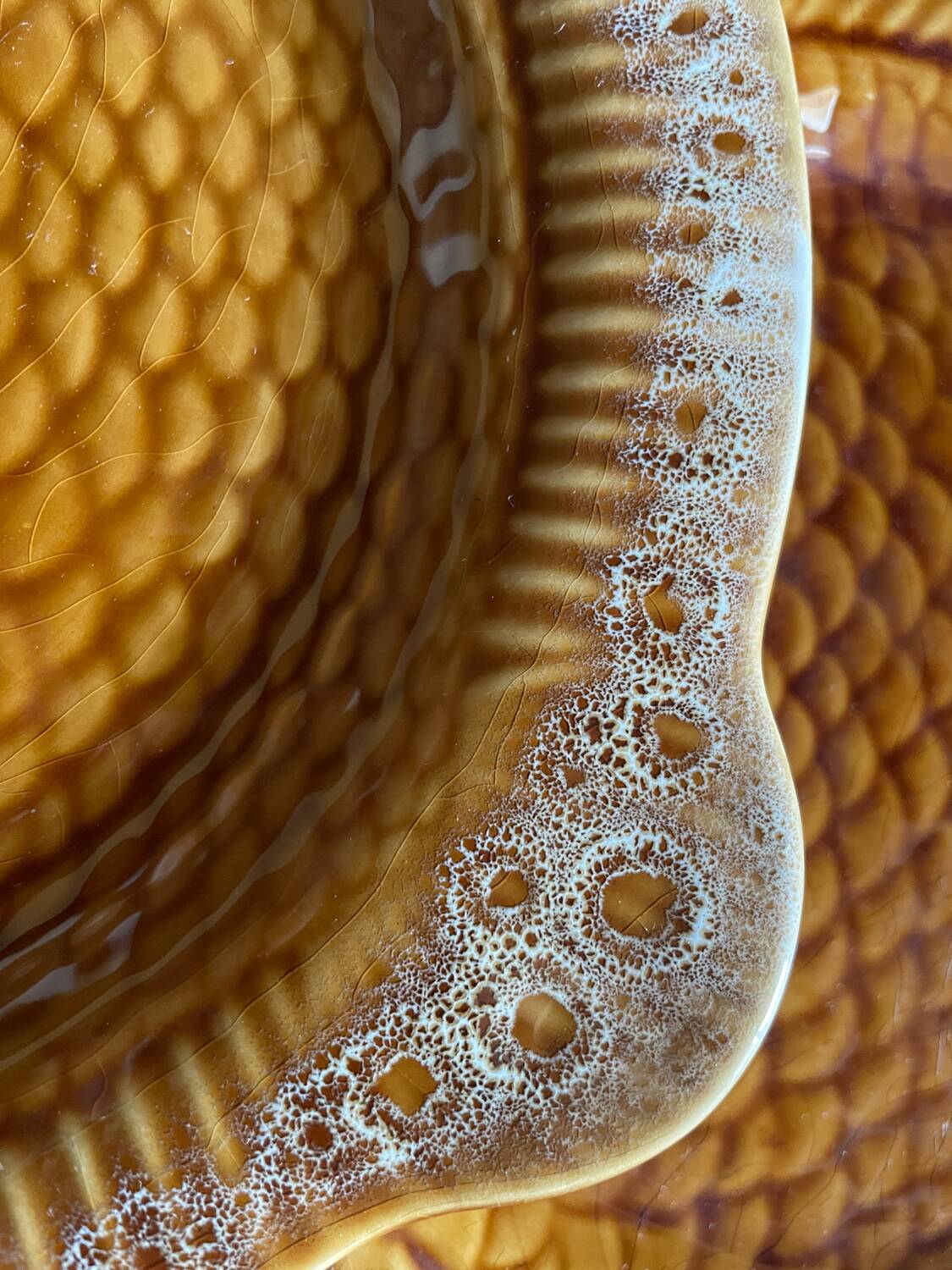 6 fish plates Sarreguemines