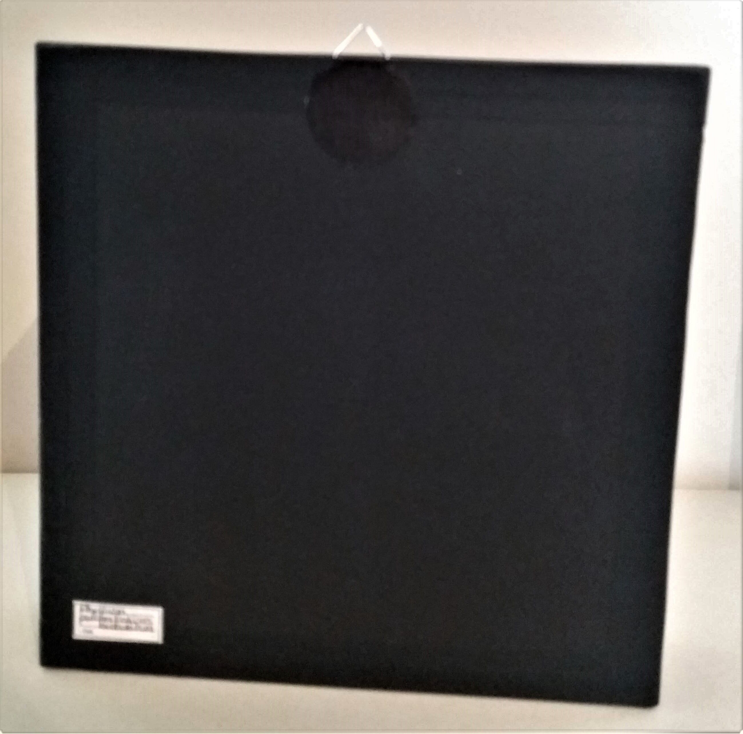 Entomology frame with phasm sheet phyllium bioculatum pulchrifyllium