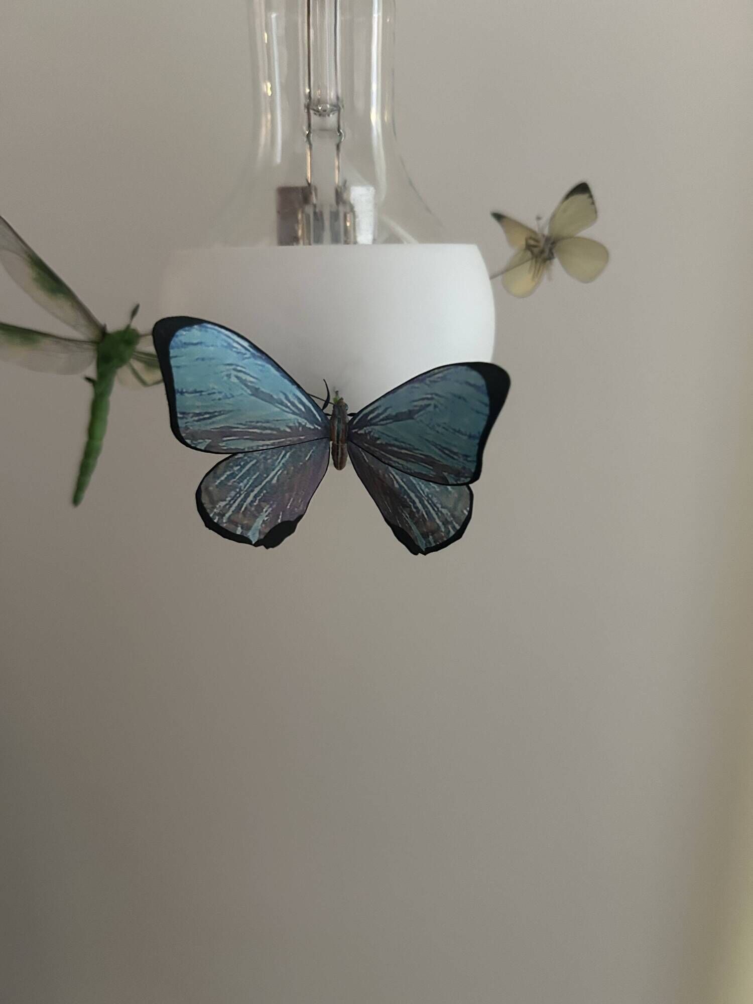 Set of 2 Johnny B. Butterfly pendants by Ingo Maurer