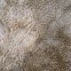 Vintage 1960s Scandinavian shag rug, Flokati style, 200cm x 203cm