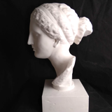 Venus known as Martre Tolosane | Musée Toulouse