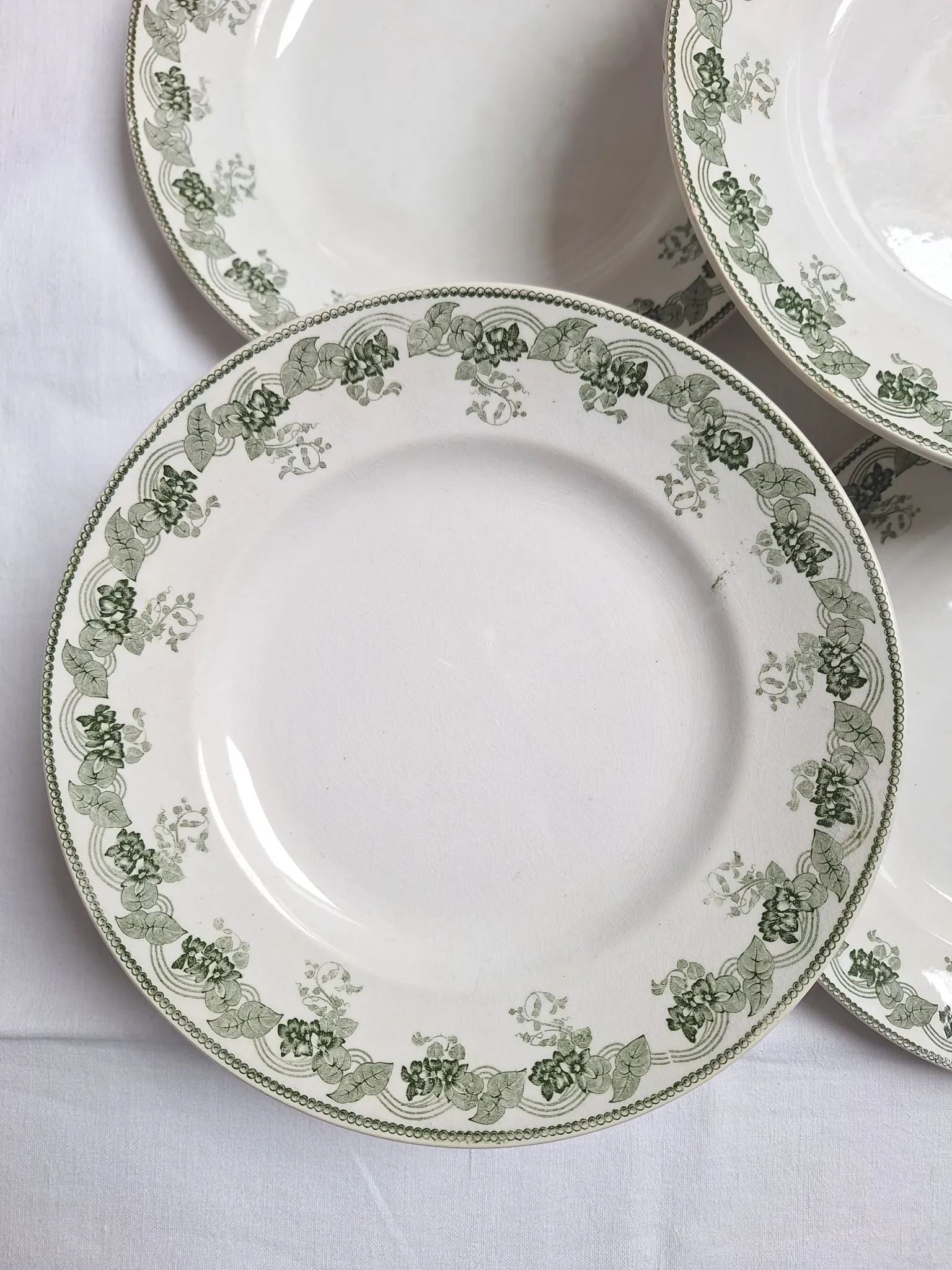 Assiettes plates vertes Moulin des Loups modèle Violetta