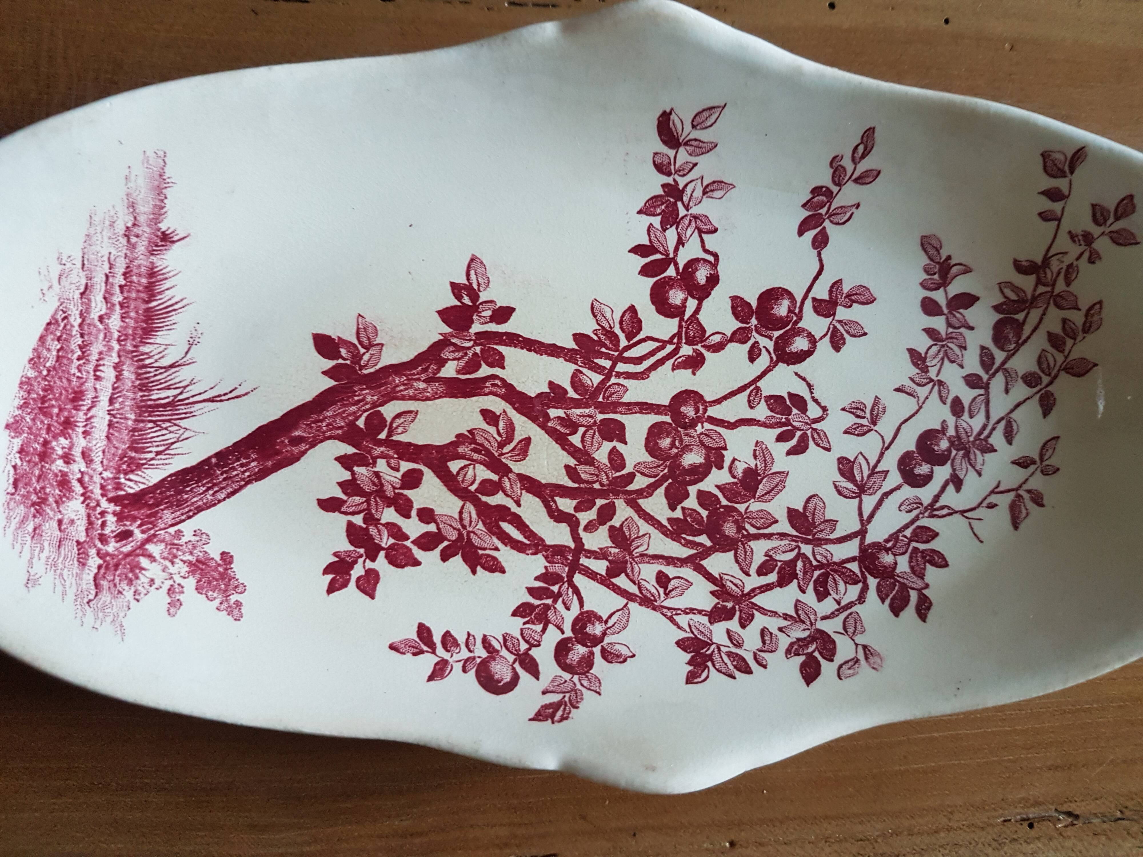 Delight Samaritan Land of Iron