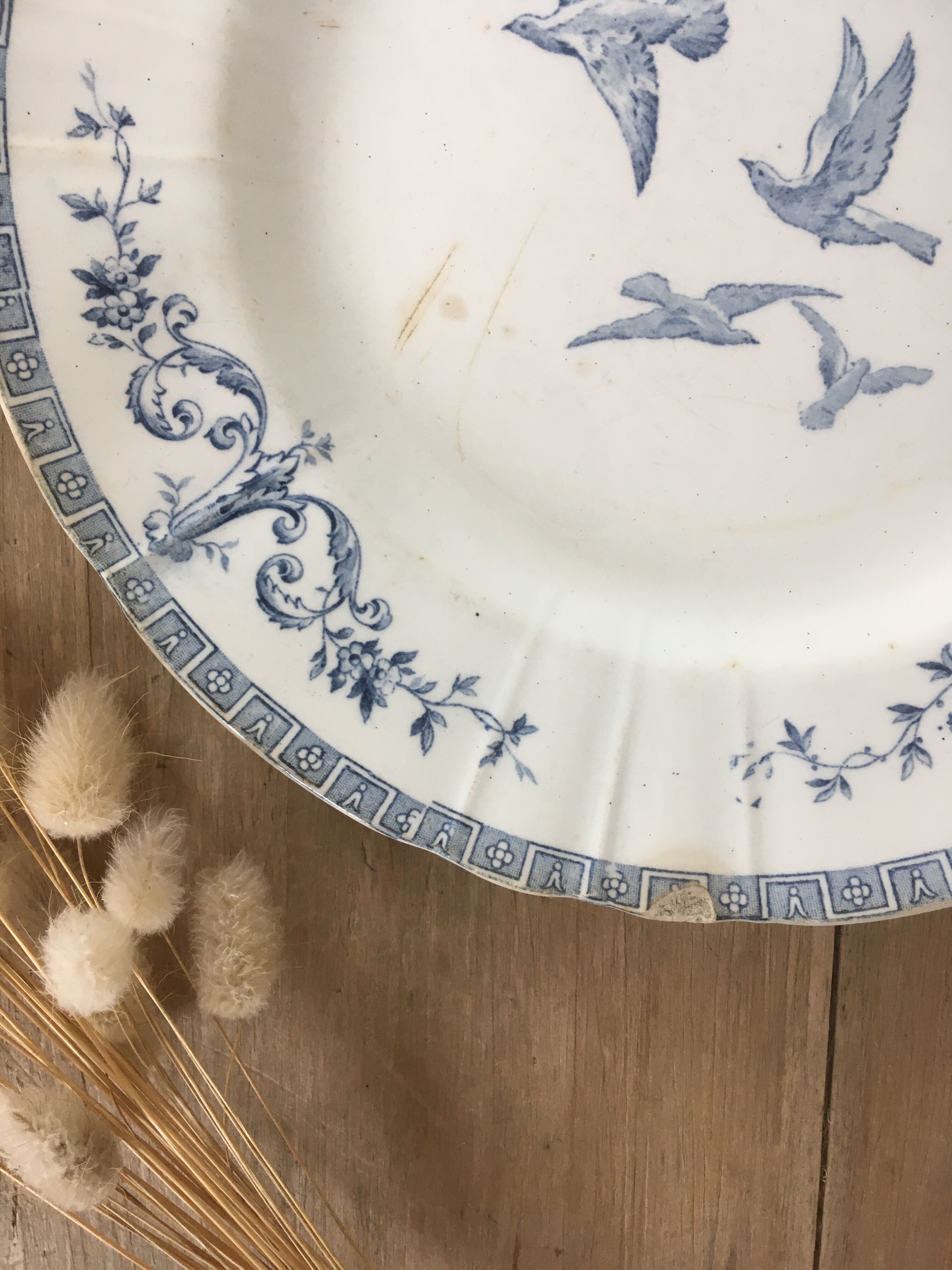 Lot 5 mismatched iron earth flat plates