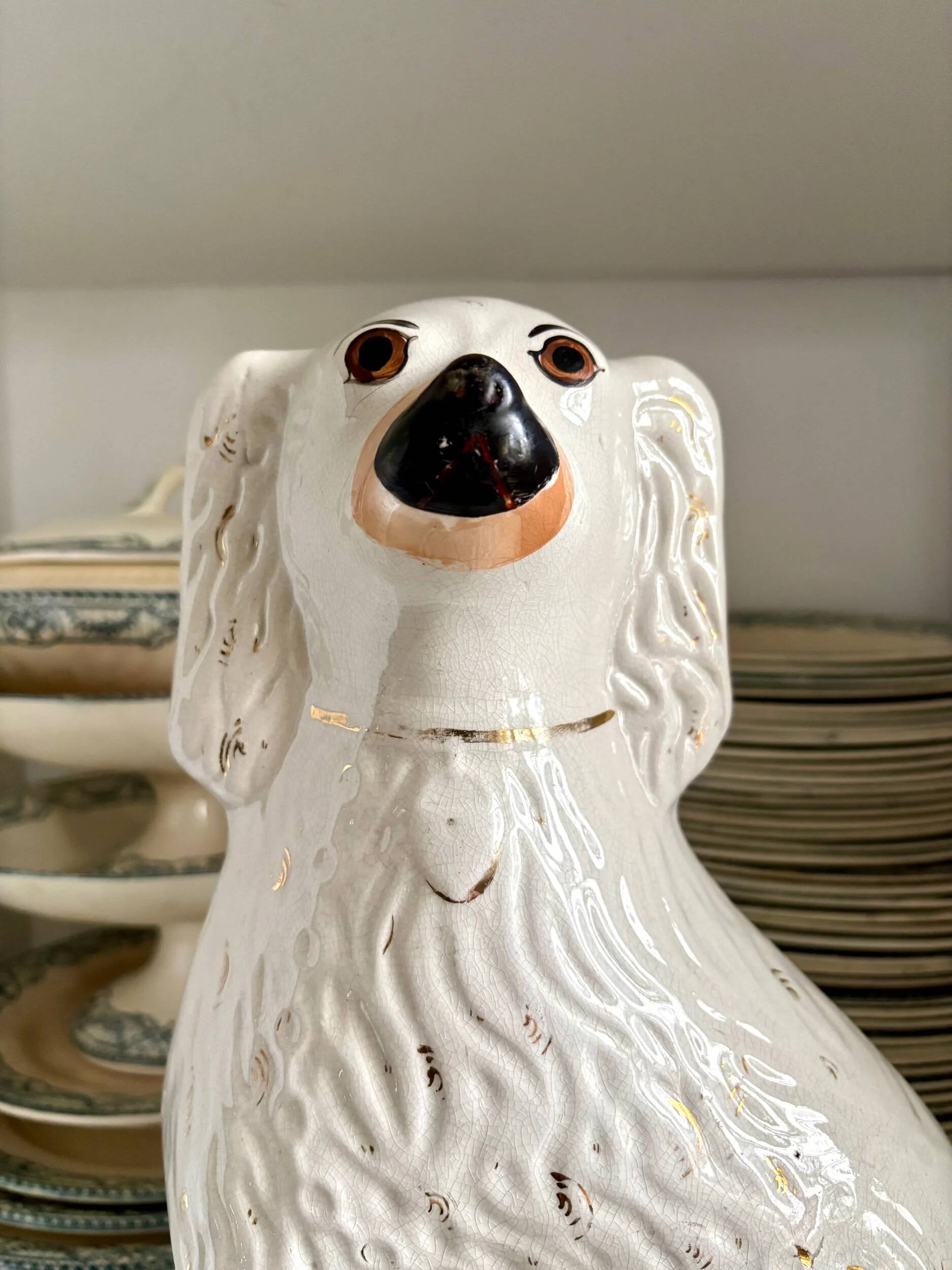 Dog, Cavalier King Charles in Staffordshire earthenware no. 9, circa 1860