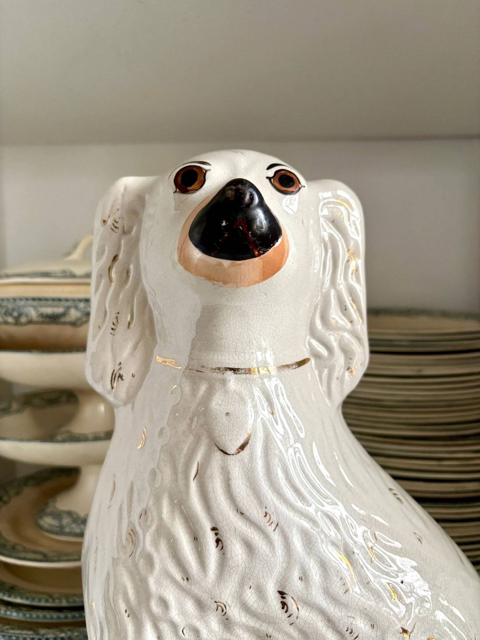 Dog, Cavalier King Charles in Staffordshire earthenware no. 9, circa 1860