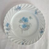 Dessert service for 12 "Bergère", Haviland Limoges