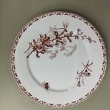 "Carmen" - 5 flat plates ø 23.5cm ironstone Sarreguemines U&C