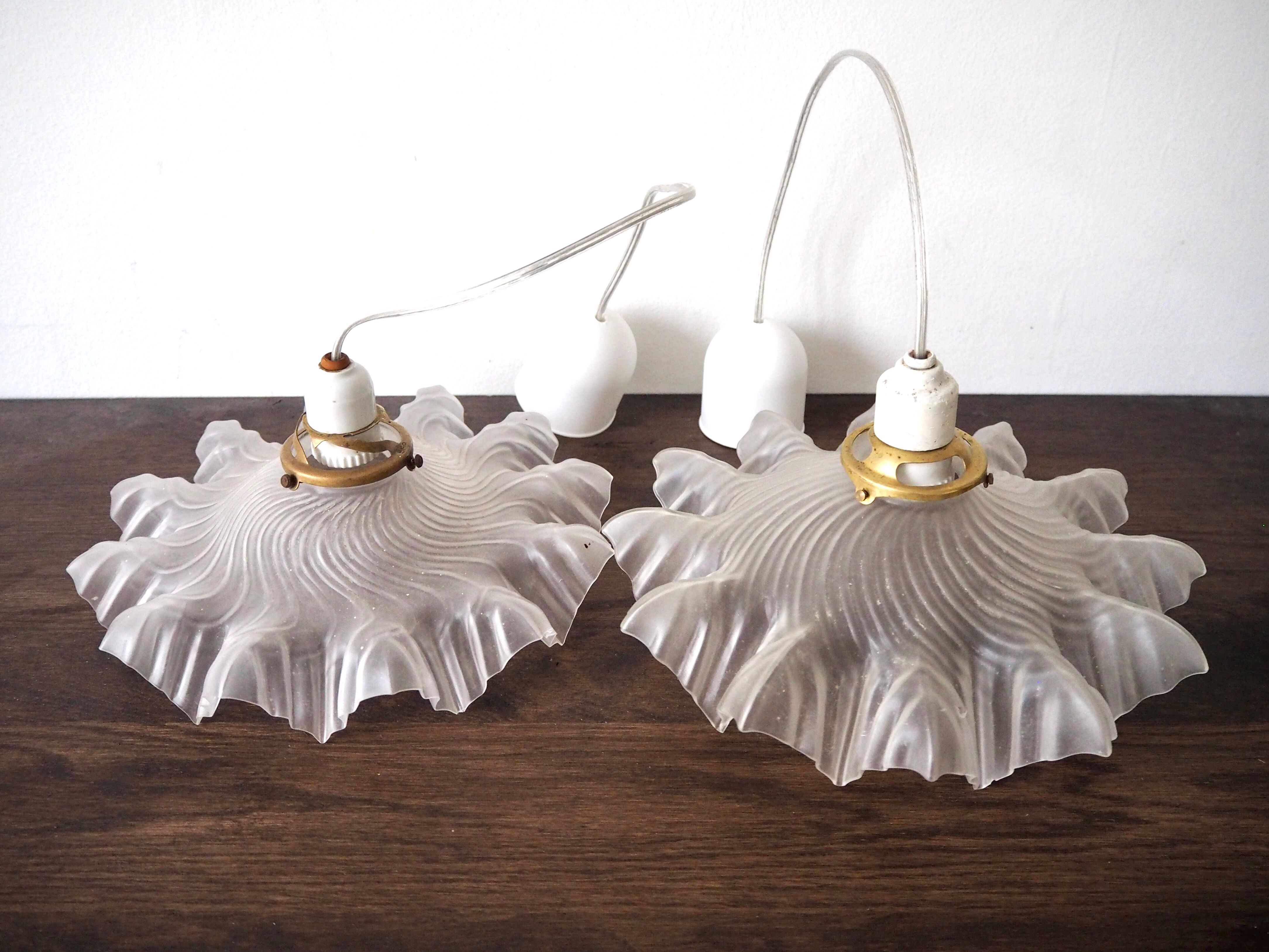 Pair of frosted glass flower pendant lamps