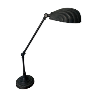 Shell desk lamp